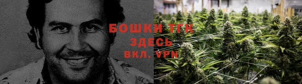 MESCALINE Алзамай
