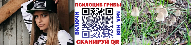 Галлюциногенные грибы Psilocybine cubensis  kraken   Дорогобуж 